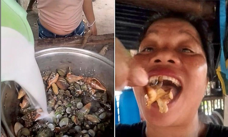 ಫಿಲಿಪ್ಪೀನ್ಸ್‌: ವಿಷಕಾರಿ ಏಡಿ ತಿಂದ ಮಹಿಳಾ ವ್ಲಾಗರ್‌ ದುರ್ಮರಣ!