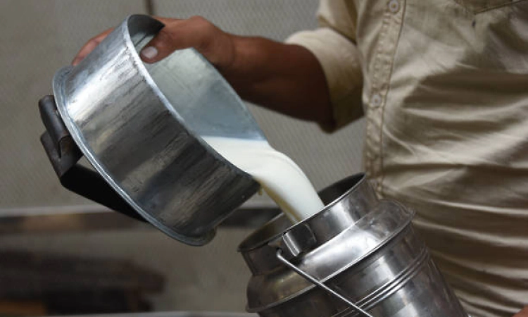 Andhra milk contamination: Death toll rises to 13, seven undergoing treatment