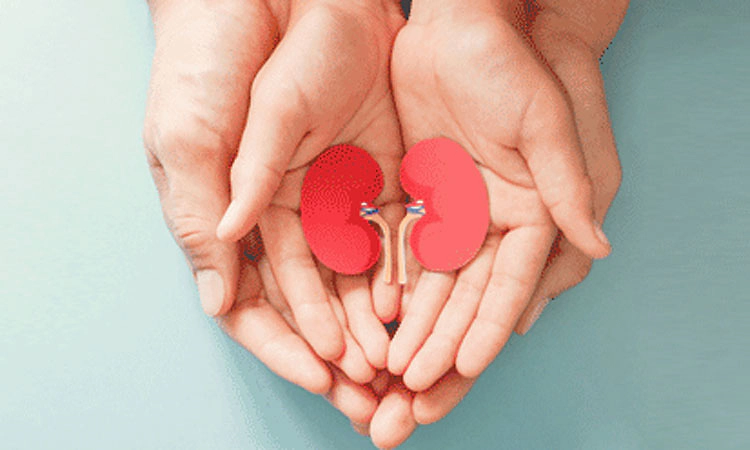 ಕಿಡ್ನಿ ಆರೋಗ್ಯದ ಬಗ್ಗೆ ನಿರ್ಲಕ್ಷ್ಯ ಬೇಡ: ಮಣಿಪಾಲ್‌ ಆಸ್ಪತ್ರೆ ತಜ್ಞರ ಎಚ್ಚರಿಕೆ