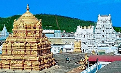 ತಿರುಪತಿ ದೇವಸ್ಥಾನ: ಎಲ್‌ಪಿಜಿ ಪೂರೈಕೆಯಲ್ಲಿ ವ್ಯತ್ಯಯವಿಲ್ಲ: ಅಧಿಕಾರಿಗಳ ಸ್ಪಷ್ಟನೆ