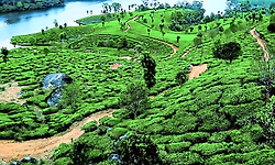 ಪ್ರಕೃತಿ, ಸಂಸ್ಕೃತಿಯನ್ನು ಮರೆತರೆ ಉಳಿದೀತೇ ನವನಾಗರಿಕತೆ?