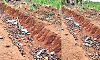 Karkala: Silt and waste clog highway drains