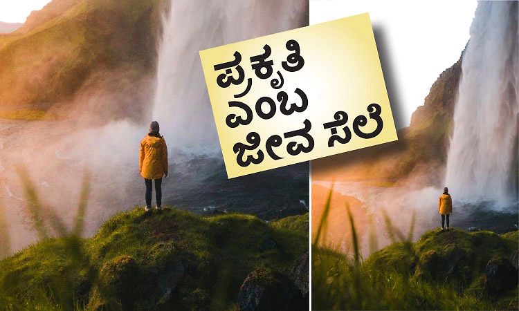 Nature: ಪ್ರಕೃತಿ ಎಂಬ ಜೀವ ಸೆಲೆ