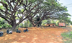 Kaup ಬಂಗ್ಲೆ ಮೈದಾನ ನಿಧಾನಕ್ಕೆ ಕಣ್ಮರೆ!