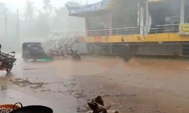 Rain in several parts of Udupi and Dakshina Kannada districts