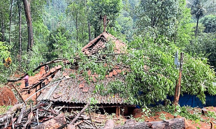 ಚಿಕ್ಕಮಗಳೂರು: ಕಾಫಿನಾಡಿನಲ್ಲಿ ಮಳೆ ಅಬ್ಬರ: ಮನೆ ಮೇಲೆ ಬಿದ್ದ ಬೃಹತ್‌ ಮರ