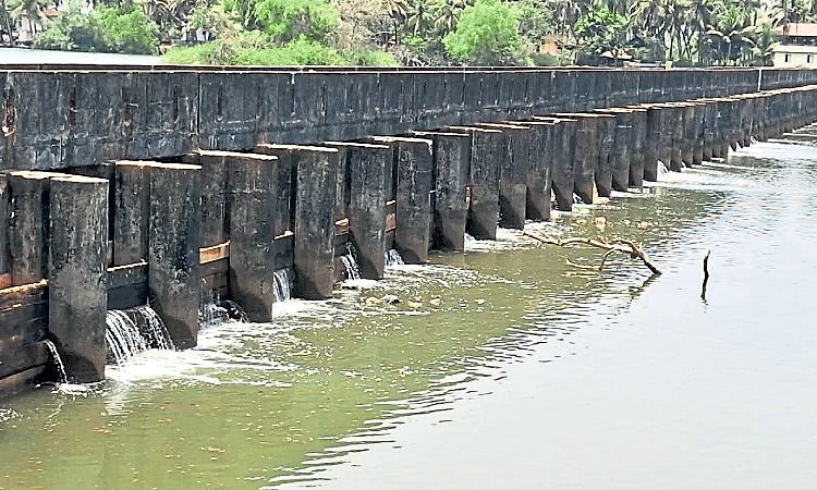 Hemmadi: ಅಣೆಕಟ್ಟು ಊಟಕ್ಕಿಲ್ಲದ ಉಪ್ಪಿನಕಾಯಿ!