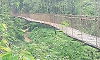 Aranthodu: Bandadka suspension bridge falls into disrepair