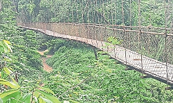 Aranthodu: Bandadka suspension bridge falls into disrepair