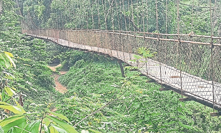Aranthodu: Bandadka suspension bridge falls into disrepair