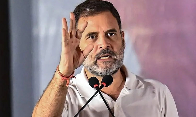 ಮೈತ್ರಿ ಭಿನ್ನಾಭಿಪ್ರಾಯ ಬದಿಗಿಟ್ಟರಷ್ಟೇ ಬಿಜೆಪಿಯ ಮಣಿಸಬಹುದು: ರಾಹುಲ್