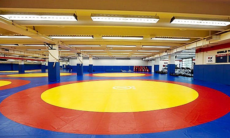 Wrestlers: ಸುಳ್ಳು ವಯಸ್ಸು ನಮೂದು: 500 ಕುಸ್ತಿಪಟುಗಳು ಅನರ್ಹ