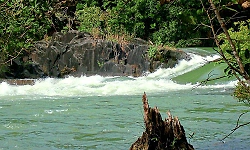 Western Ghats: River sources drying up rapidly at origins