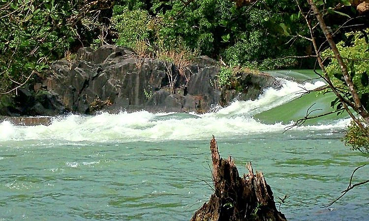 Western Ghats: River sources drying up rapidly at origins
