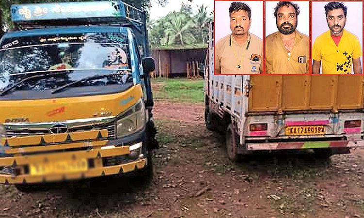 ಹೊಸಂಗಡಿಯಲ್ಲಿ ಅಕ್ರಮ ಗೋ ಸಾಗಣೆ ಪತ್ತೆ: ಎರಡು ವಾಹನ, ಮೂವರು ಪೊಲೀಸ್‌ ವಶಕ್ಕೆ