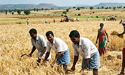 ಜಿರಾಮ್‌ಜಿಗೆ ಬೇಕು ಮತ್ತೆ 25 ಕೆಲಸ