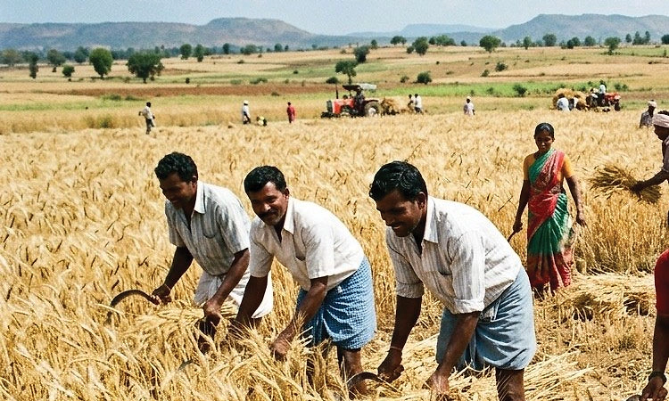 ಜಿರಾಮ್‌ಜಿಗೆ ಬೇಕು ಮತ್ತೆ 25 ಕೆಲಸ