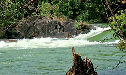 ಪಶ್ಚಿಮ ಘಟ್ಟದಲ್ಲೇ ಬರಿದಾಗುತ್ತಿರುವ ನದಿ ಮೂಲಗಳು