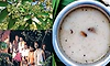 ಕಷಾಯದ ಕಹಿಯಲ್ಲೂ ಆರೋಗ್ಯದ ಸಿಹಿ