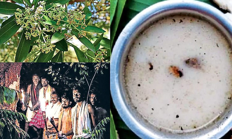 ಕಷಾಯದ ಕಹಿಯಲ್ಲೂ ಆರೋಗ್ಯದ ಸಿಹಿ