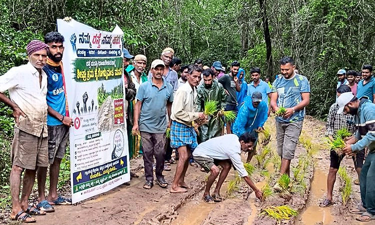 ಸಂಪಳ್ಳಿ-ಕರಡಿಗ-ಬೆಳಕೋಡು-ಕೊಳವಳ್ಳಿ ಗ್ರಾಮಸ್ಥರಿಂದ ರಸ್ತೆಗಾಗಿ ವಿನೂತನ ಪ್ರತಿಭಟನೆ