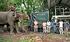World Elephant Day: ಆನೆಗಳ ಸಂರಕ್ಷಣೆಗಾಗಿ ಹೊಸ ಹೆಜ್ಜೆ ಇಟ್ಟ 'ವಂತಾರಾ'