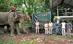 World Elephant Day: ಆನೆಗಳ ಸಂರಕ್ಷಣೆಗಾಗಿ ಹೊಸ ಹೆಜ್ಜೆ ಇಟ್ಟ 'ವಂತಾರಾ'