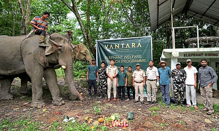 World Elephant Day: ಆನೆಗಳ ಸಂರಕ್ಷಣೆಗಾಗಿ ಹೊಸ ಹೆಜ್ಜೆ ಇಟ್ಟ 'ವಂತಾರಾ'