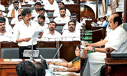 543 ಲೋಕಸಭಾ ಕ್ಷೇತ್ರಗಳಲ್ಲೇ 33% ಮಹಿಳಾ ಮೀಸಲಾತಿ ಕೊಡಿ: ವಿಜಯ್‌