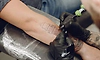 Tattoos: ಸರಕಾರದಿಂದ ಶೀಘ್ರ ಹೊಸ ನಿಯಮಾವಳಿ?