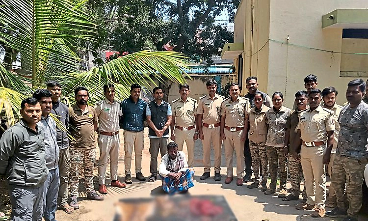 ಜಿಂಕೆ ಬೇಟೆಯಾಡಿ ಮಾಂಸ ಸಾಗಣೆ: ಬಂಧನ