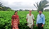 1.5 ಎಕರೆಯಲ್ಲಿ‌ ಭರಪೂರ ಸೋಯಾ ಬೆಳೆ