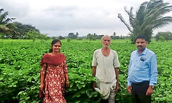 1.5 ಎಕರೆಯಲ್ಲಿ‌ ಭರಪೂರ ಸೋಯಾ ಬೆಳೆ