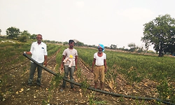 ಬಾಡುತ್ತಿರುವ ಬೆಳೆ ಉಳಿಸಿಕೊಳ್ಳಲು ಪರದಾಟ