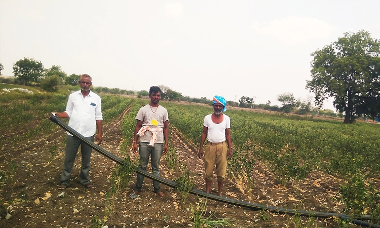 ಬಾಡುತ್ತಿರುವ ಬೆಳೆ ಉಳಿಸಿಕೊಳ್ಳಲು ಪರದಾಟ