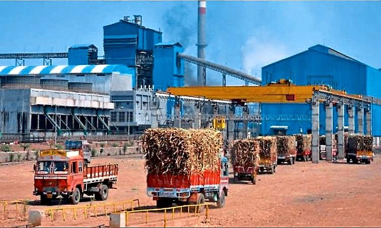 Sugar mill owners warn of closure if farmers reject fixed price