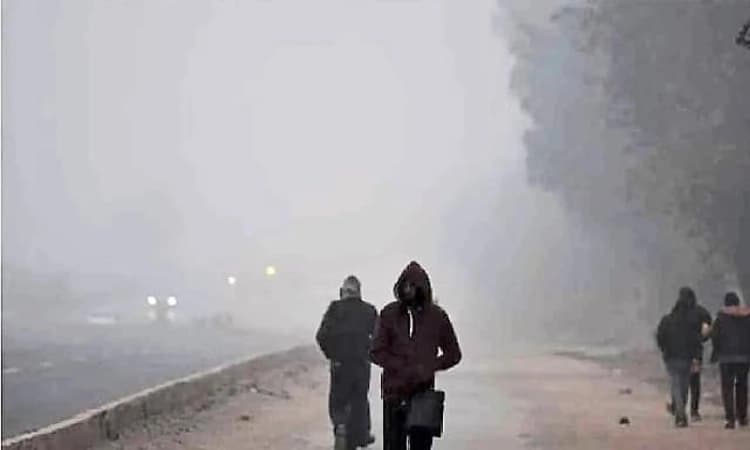 IMD issues ‘yellow alert’ for cold conditions, dense fog in parts of Jharkhand