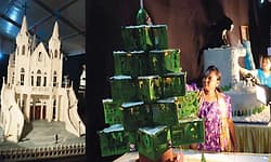 Cake exhibition begins today at Palace Grounds with free entry