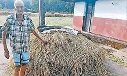 Karkala: At 95, ‘Appu Mam’ continues farming with passion