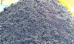 Bengaluru: ಮೃಗಾಲಯ ಗೊಬ್ಬರಕ್ಕೆ ಭಾರೀ ಬೇಡಿಕೆ