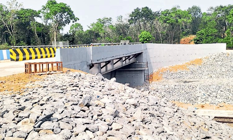 Kadaba: ಕೋರಿಯಾರ್‌, ಬಜಕರೆ, ಪುರುಷರಕಟ್ಟೆ ಮೇಲ್ಸೇತುವೆ ಶೀಘ್ರ ಮುಕ್ತ