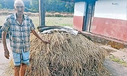 Karkala; 95ರ ವಯಸ್ಸಲ್ಲೂ ಗದ್ದೆಗಿಳಿದು ಕೃಷಿ ಮಾಡುವ ಅಪ್ಪು ಮಾಮ್‌