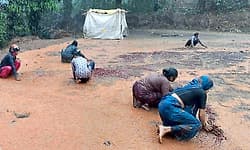 ಅಕಾಲಿಕ ಮಳೆಗೆ ಕಂಗಾಲಾದ ಕಾಫಿನಾಡು: ಭಾರೀ ಮಳೆಗೆ ಹೈರಾಣಾದ ಕಾಫಿ, ಅಡಿಕೆ ಬೆಳೆಗಾರರು