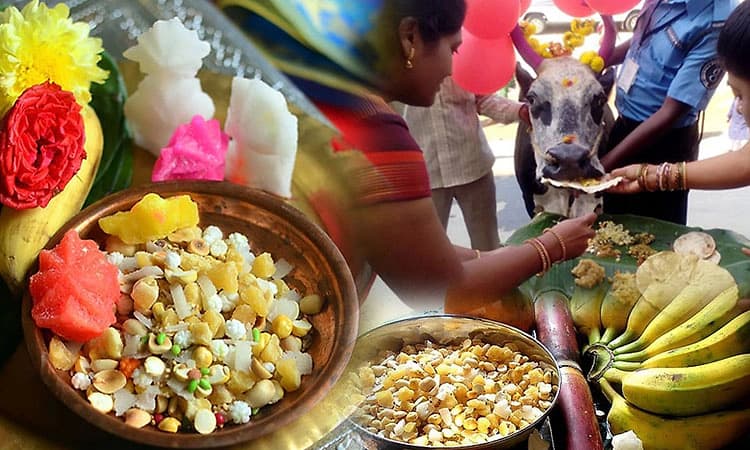 ರಾಜ್ಯಾದ್ಯಂತ ಎರಡು ದಿನ ‘ಮಕರ ಸಂಕ್ರಾಂತಿ’ ಸಂಭ್ರಮ