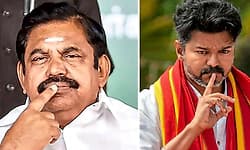 ತ.ನಾ: ಎಐಎಡಿಎಂಕೆ ಜತೆ ನಟ ವಿಜಯ್‌ ಅವರ ಟಿವಿಕೆ ಮೈತ್ರಿ? 