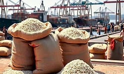 ಇರಾನ್‌ ಬಿಕ್ಕಟ್ಟಿನಿಂದ ಭಾರತದ ಬಾಸ್ಮತಿ ಅಕ್ಕಿ 