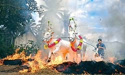 ನಾನಾ ತರಹ ಸಂಕ್ರಾಂತಿ ಸಂಭ್ರಮ