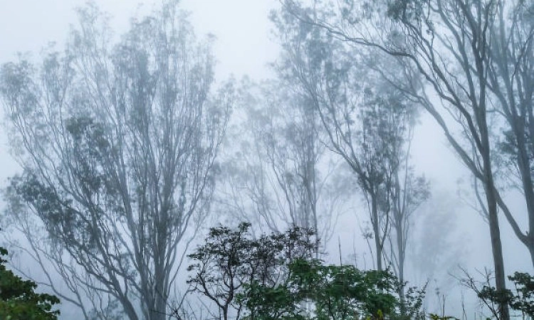 Bengaluru's Nandi Hills shut for tourists on February 14 for the first time