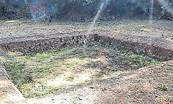 Puttur; ಪುಷ್ಪಗಿರಿ ಒಡಲಲ್ಲಿ ಬತ್ತುತ್ತಿದೆ ನೀರಸೆಲೆ