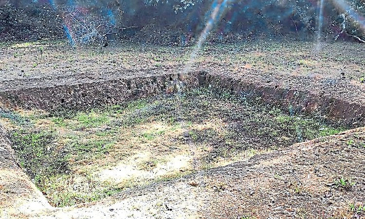 Puttur; ಪುಷ್ಪಗಿರಿ ಒಡಲಲ್ಲಿ ಬತ್ತುತ್ತಿದೆ ನೀರಸೆಲೆ